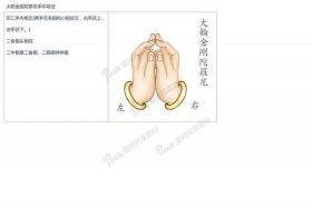 佛教持具仪轨教学；佛教各种佛事仪轨全集