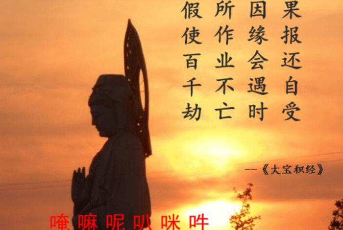 修行中何为正知正见 正知见对修行的重要性