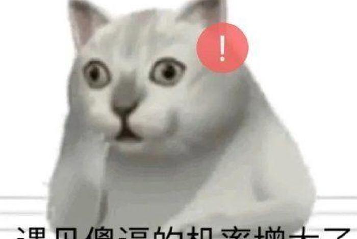 奇怪知识增加了音效，奇怪知识增加了表情包