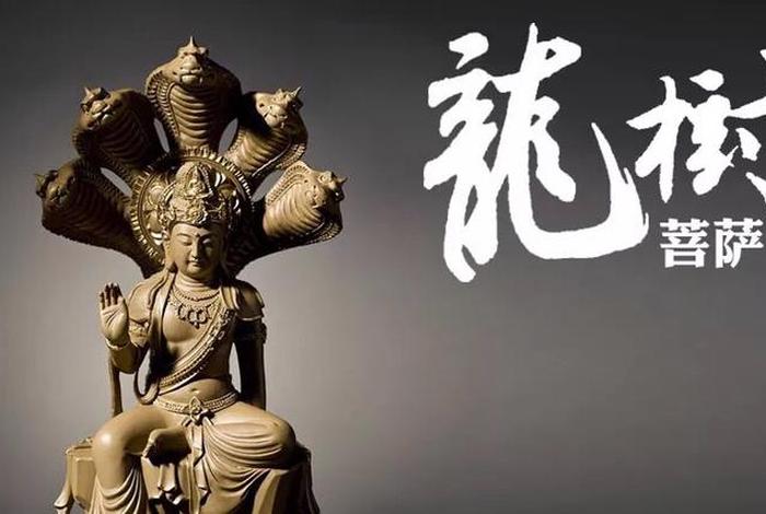 龙树菩萨与小偷的故事；龙树菩萨偷心