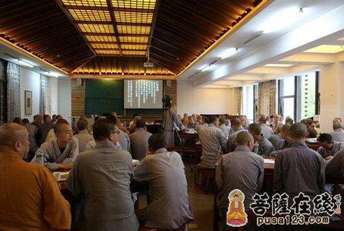 佛教知识的培训内容 佛教基础知识讲座视频