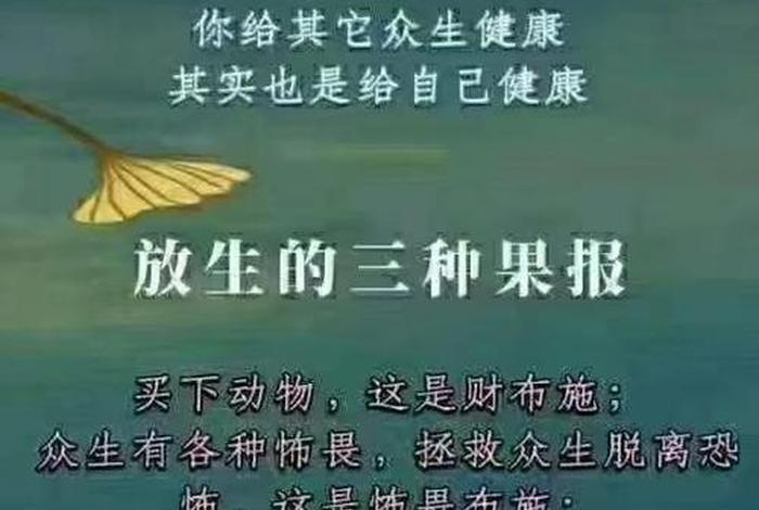 佛学常识放生的功德意义和价值 - 放生的意义及放生功德何在