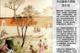 佛教放生的故事（关于佛教放生）