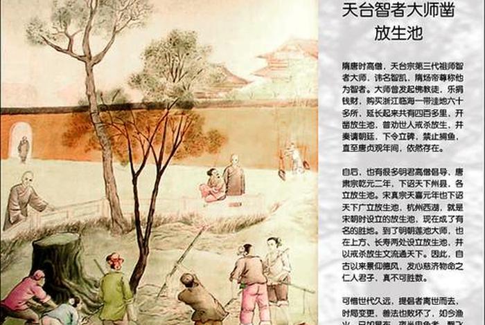 佛教放生的故事（关于佛教放生）