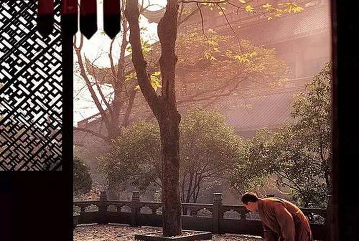 佛教摄影（佛教摄影图片）