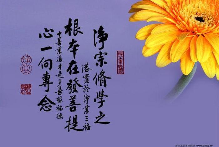 佛学善根是什么，佛教善根