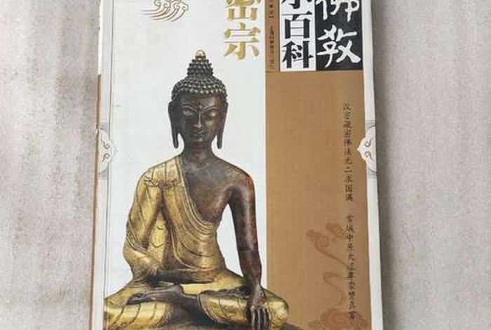 科普佛教 科普佛教的书