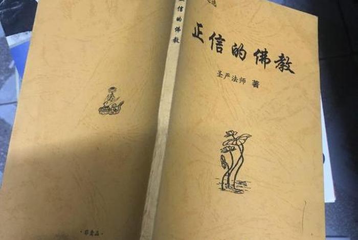 正信的佛教这本书怎么样 - 正信的佛教电子书下载