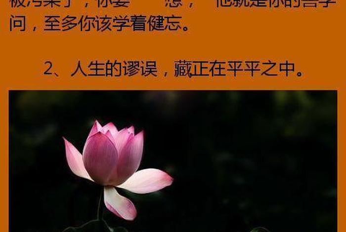 佛教生活禅语（108句佛教经典禅语）