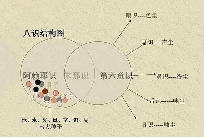 佛经阿赖耶识这个名称从何而来、阿赖耶识的由来