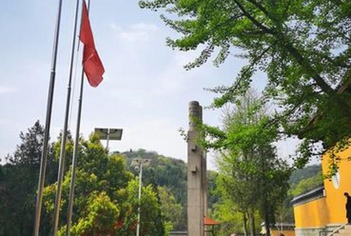 阐述遂宁佛教文化知识有哪些（遂宁佛学院）