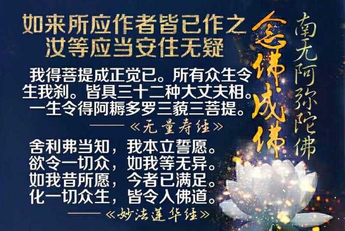 佛教经典开示、佛教开示视频大全