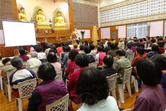 佛学基本常识讲座视频；佛学基本常识讲座视频全集