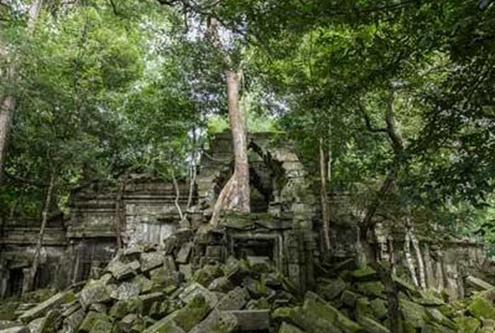 丛林 寺庙 - 丛林寺庙里背诵哪些课程