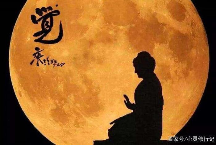 佛法中的出离心是什么意思（佛学出离心）