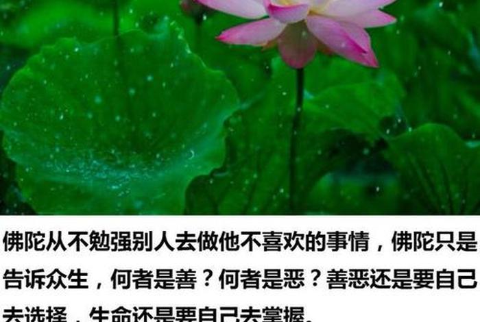 佛教关于欲望禅语，佛学 关于欲望