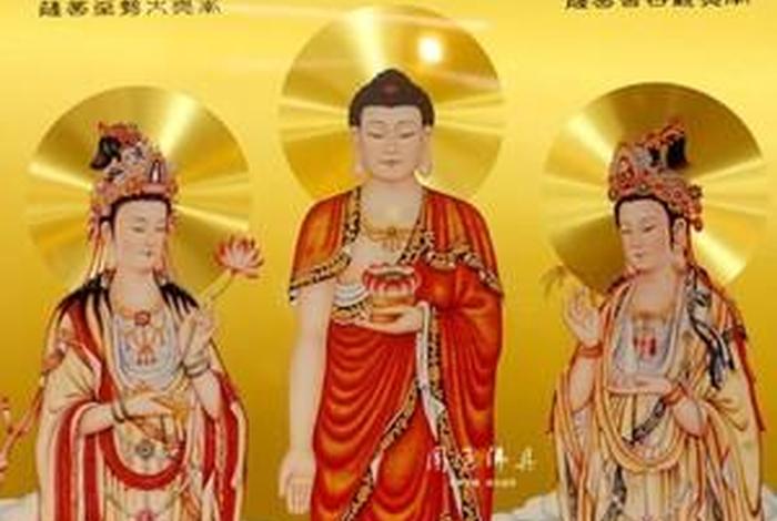 佛教知识官网入口网站大全视频、佛教知识官网入口网站大全视频下载