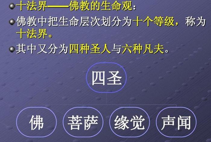 佛教文学健康方面的知识点；佛学文学