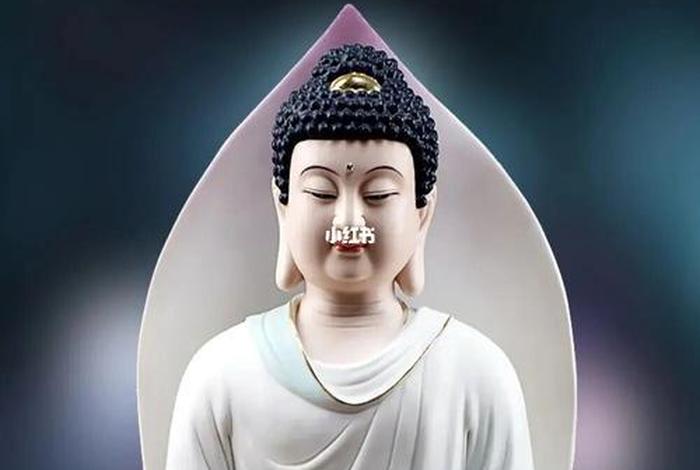 佛教讲究命理学吗；学佛的命算不准