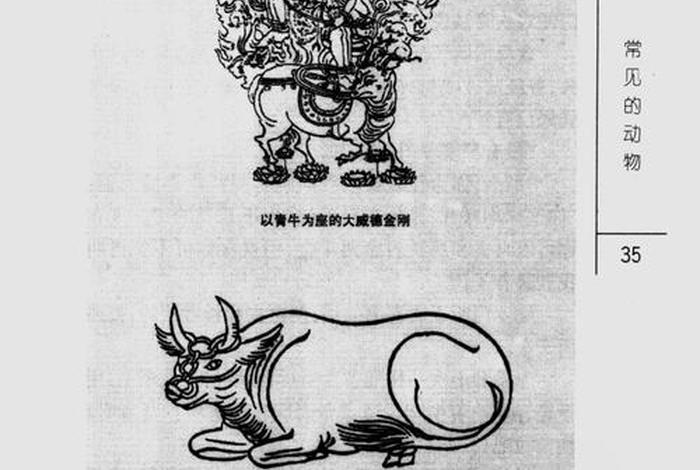 佛教小百科pdf百度云，佛教小百科pdf下载