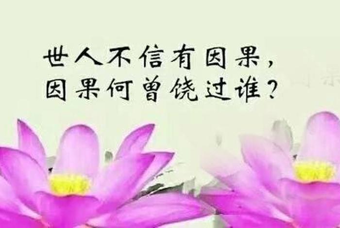 说错了话佛能原谅吗，总说错话的佛法因果