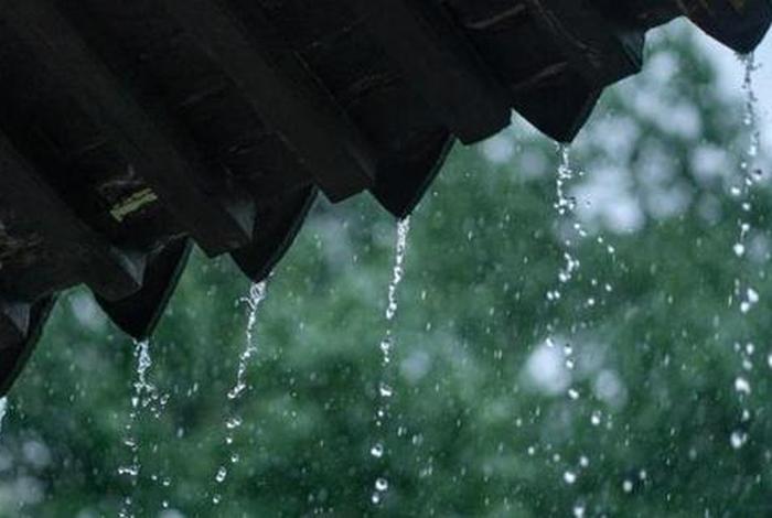 及时之雨佛学 及时雨的意思是什么意思