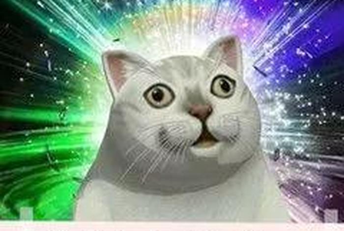 奇怪知识增加了的图片 奇怪的知识增加了表情包大全