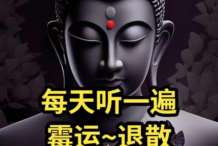 佛教知识 大全视频下载 佛教知识 大全视频下载免费