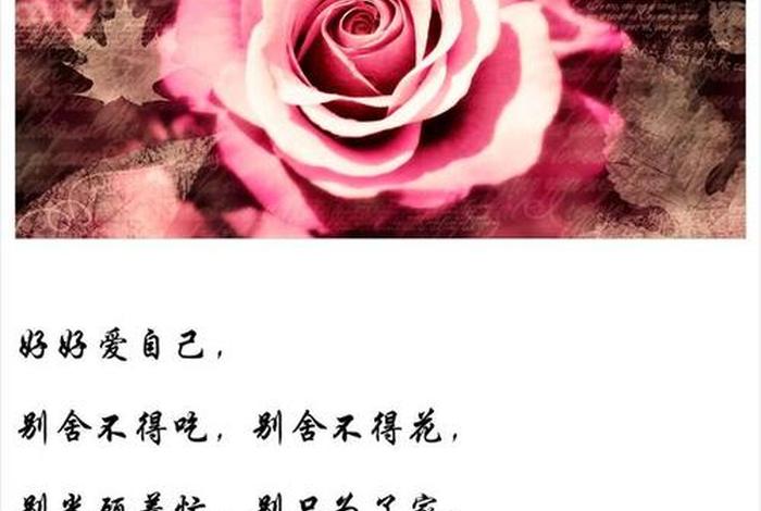 好好爱自己经典短语 - 好好爱自己经典短语图片