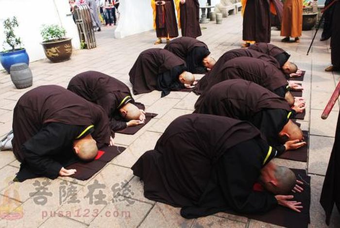 佛教膜拜视频、佛教膜拜视频大全