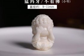 佛教四大菩提你不知道的知识视频讲解 四大菩提的分类.特点