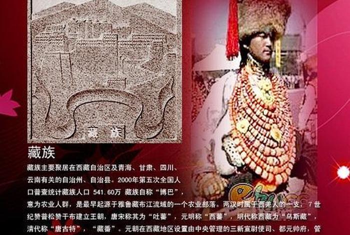 藏族文化知识有哪些特点（藏族文化知识有哪些特点和作用）
