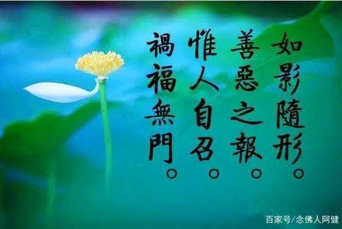 不信佛教但要知道的佛教知识 - 不信佛教会有报应吗