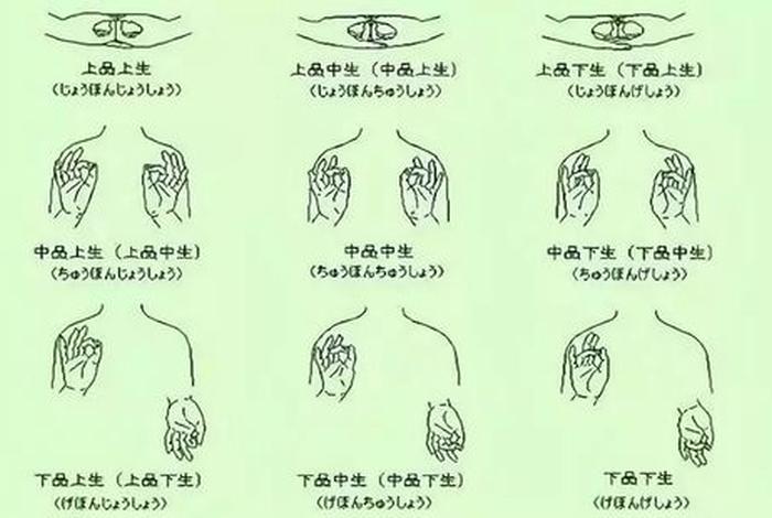 佛教手印大全视频教学版，佛教手印各种手势