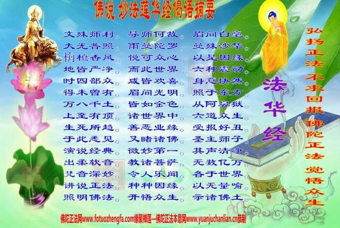 佛学常识开示短句大全 - 佛学常识开示短句大全图解