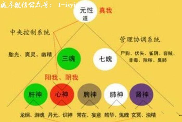 佛教宇宙观音乐 - 佛教宇宙观的三个关系是什么？