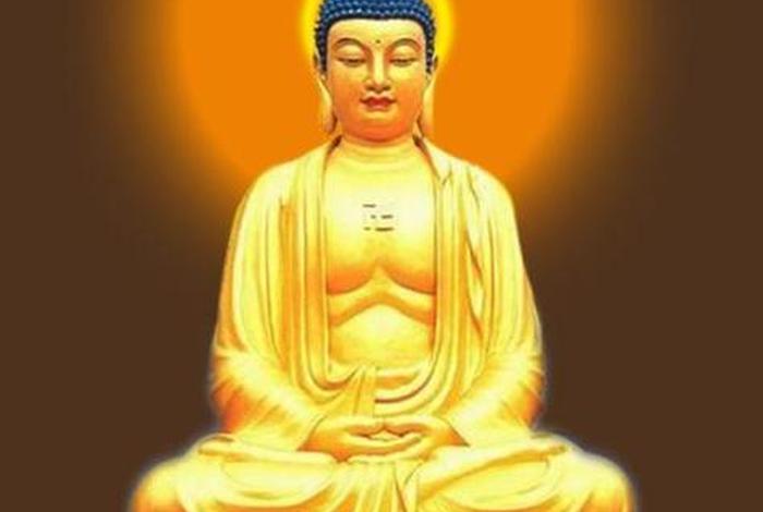 佛教和哪个境界更高一点（佛教和哪个更大）
