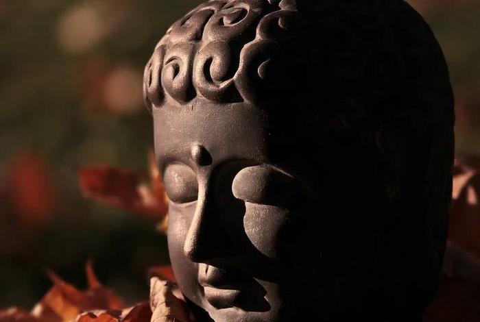知识与佛教并不冲突的思考是什么 佛学与生活智慧