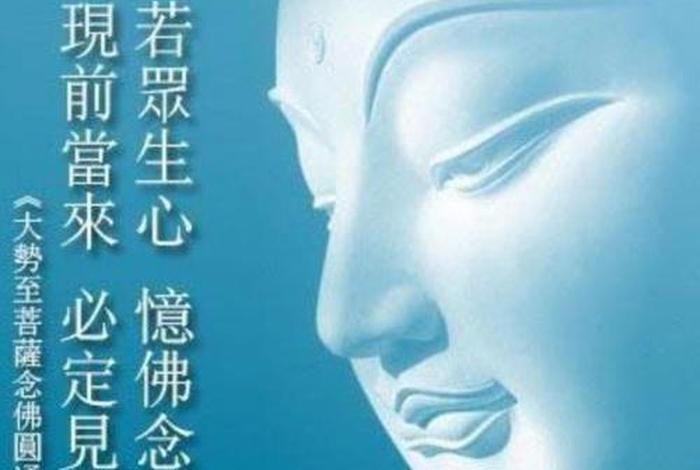 念佛体会分享、念佛体会分享心得感悟