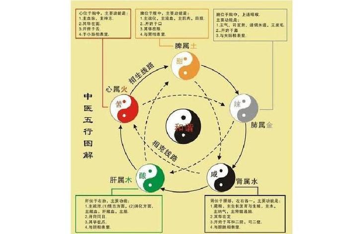 什么样的人适合学玄学道术，什么样的人可以学玄学