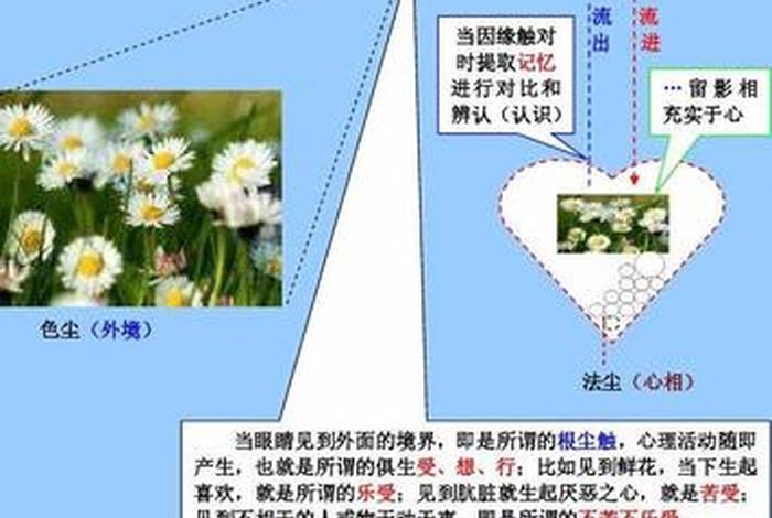 五蕴十二处十八界与缘起（佛经五蕴,六入,十二处,十八界是什么意思）