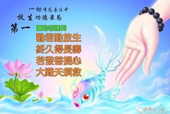 佛教的放生知识是什么；佛教放生有何功德