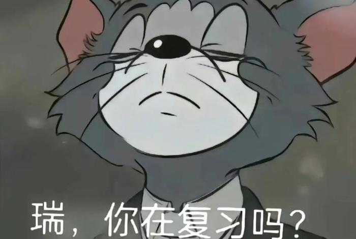 猫和老鼠用佛是什么意思（猫和老鼠求佛）