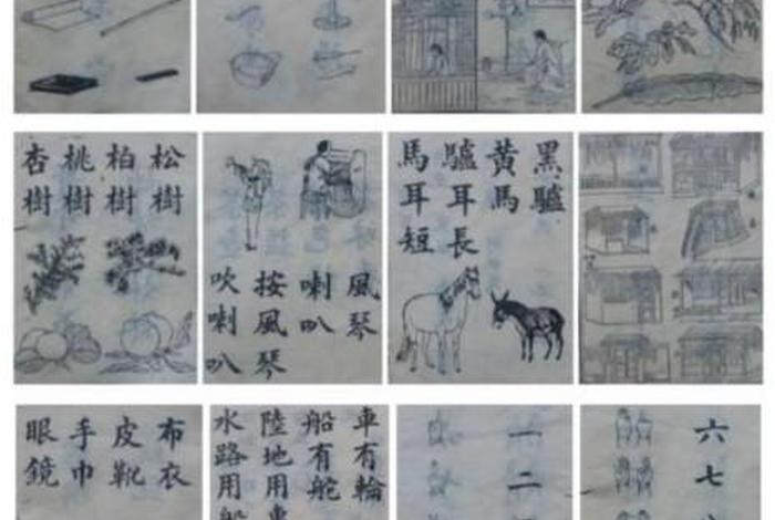 佛教扫盲基础知识有哪些（佛教扫盲基础知识有哪些内容）