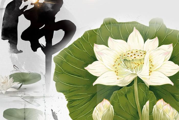 佛教莲花图片 禅意 唯美 吉祥（佛教莲花精美图片）