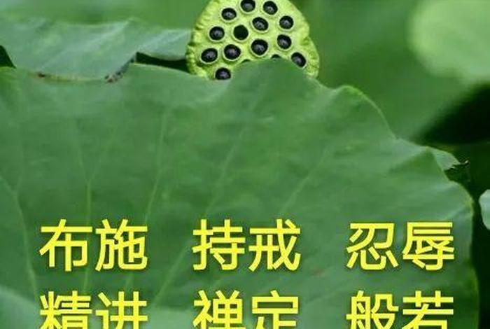 佛教所说的波罗蜜是什么意思；佛教里的波罗蜜是指