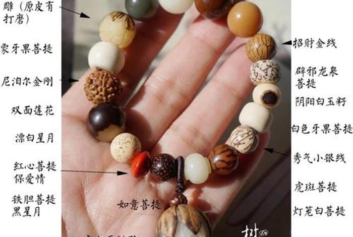 佛教珠宝知识大全集下载手机版；珠宝佛珠