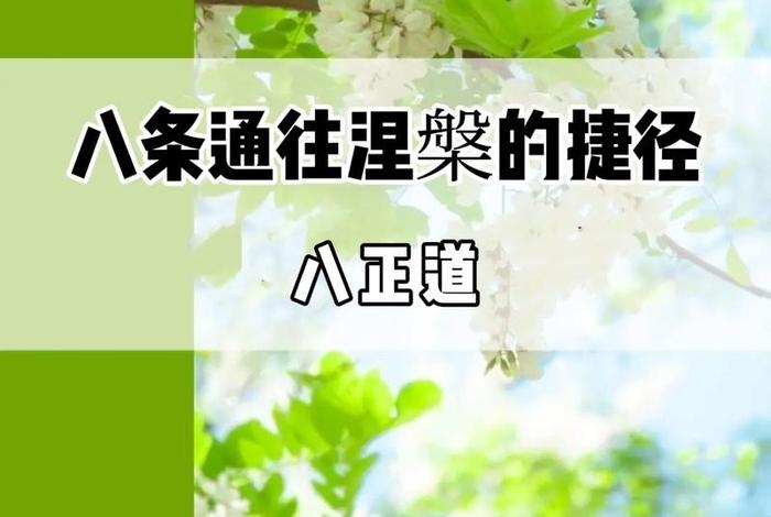 正知正见佛学 - 修行中何为正知正见