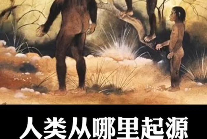 人类是怎么来的视频 人类是怎么来的纪录片