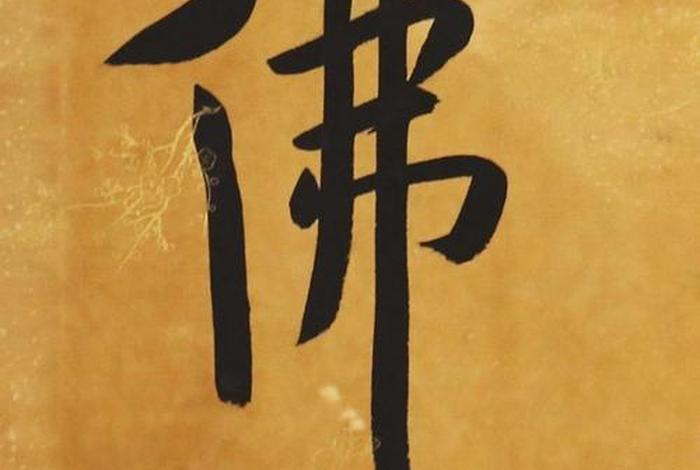 常随佛学什么意思，常随佛法